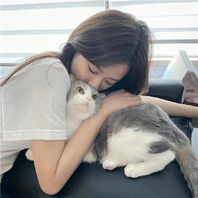 嘘,国王在冬眠