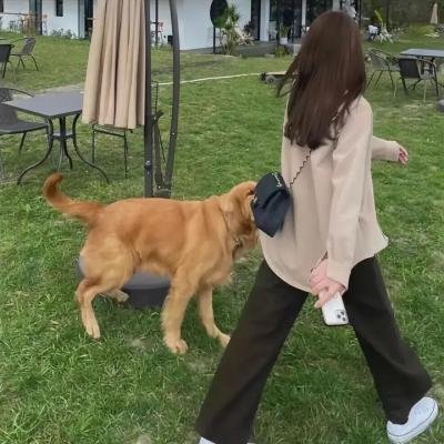 目击风暴